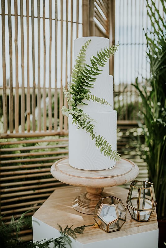 Image by <a class="text-p3" href="http://veronikaward.com" target="_blank">Veronika Ward Photography</a>.