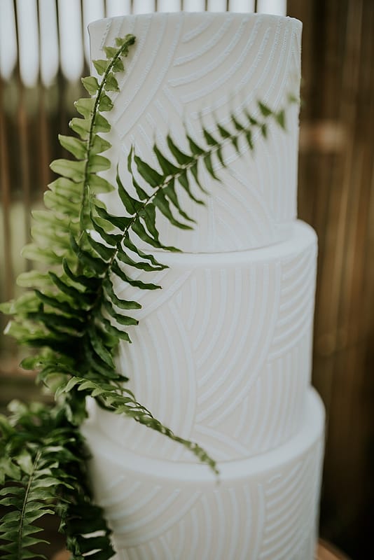 Image by <a class="text-p3" href="http://veronikaward.com" target="_blank">Veronika Ward Photography</a>.