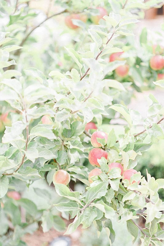 Image by <a class="text-p3" href="http://sarahjaneethan.co.uk" target="_blank">Sarah-Jane Ethan Photography</a>.