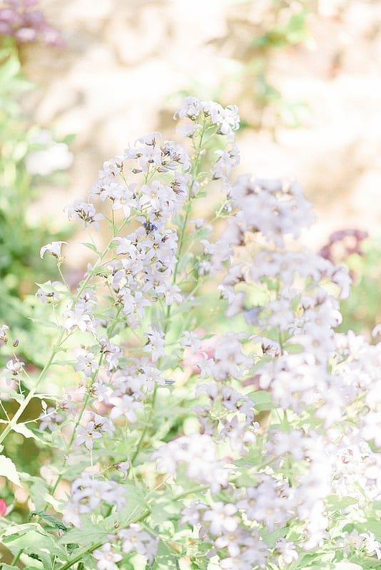 Image by <a class="text-p3" href="http://sarahjaneethan.co.uk" target="_blank">Sarah-Jane Ethan Photography</a>.