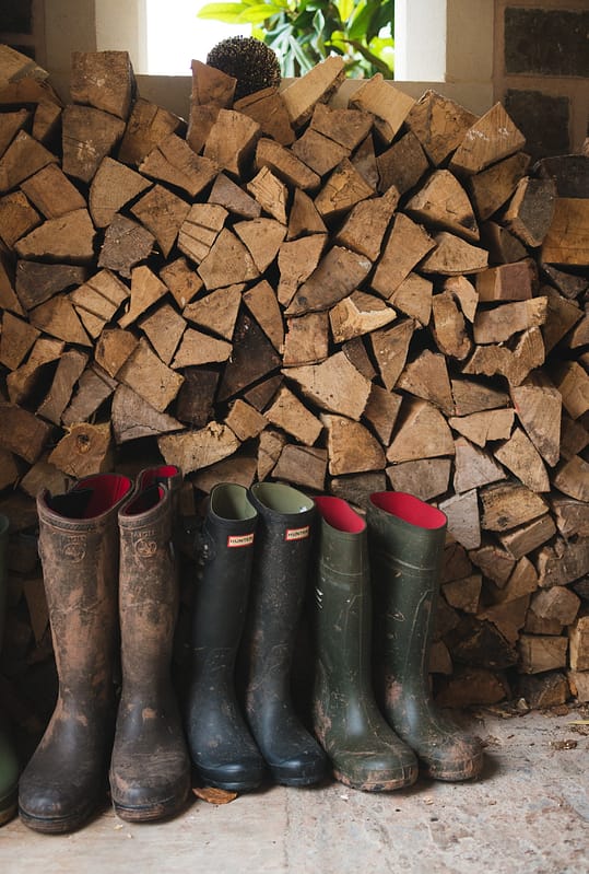 Image courtesy of Paschoe House.