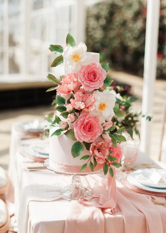 Image by <a class="text-p3" href="http://www.katenielen.com" target="_blank">Kate Nielen Photography</a>.