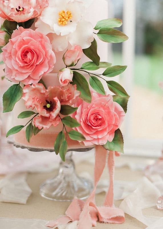 Image by <a class="text-p3" href="http://www.katenielen.com" target="_blank">Kate Nielen Photography</a>.