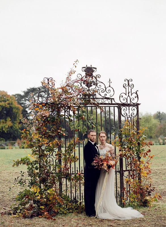 Image by <a class="text-p3" href="http://taylorandporter.co.uk" target="_blank">Taylor & Porter Photography</a>.