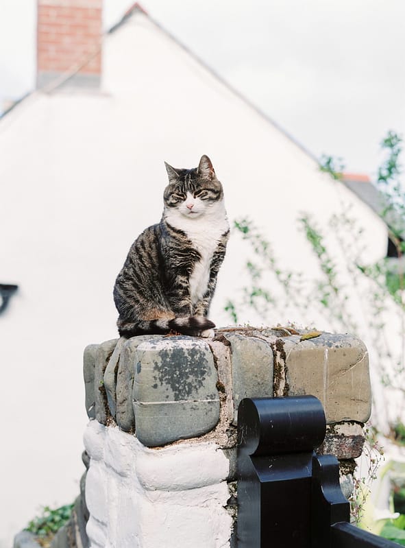 Image by <a class="text-p3" href="http://www.lucydavenport.co.uk" target="_blank">Lucy Davenport Photography</a>.