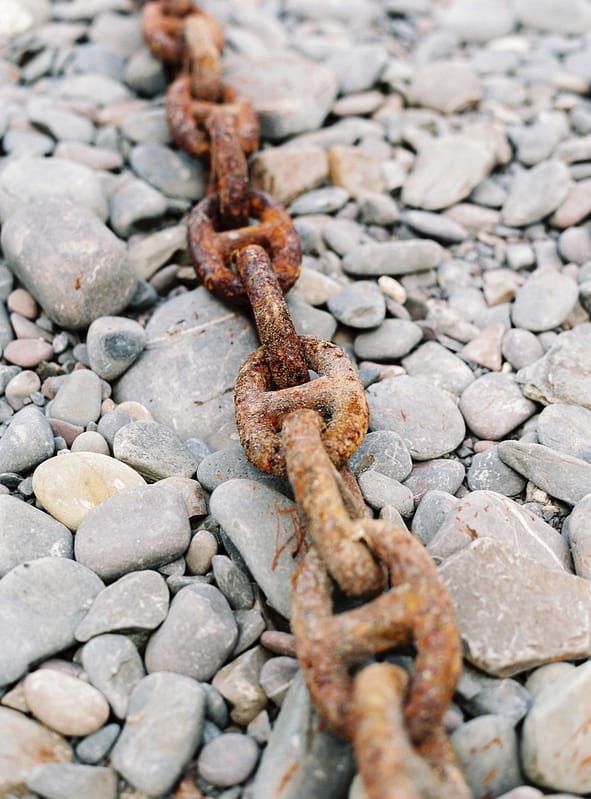 Image by <a class="text-p3" href="http://www.lucydavenport.co.uk" target="_blank">Lucy Davenport Photography</a>.