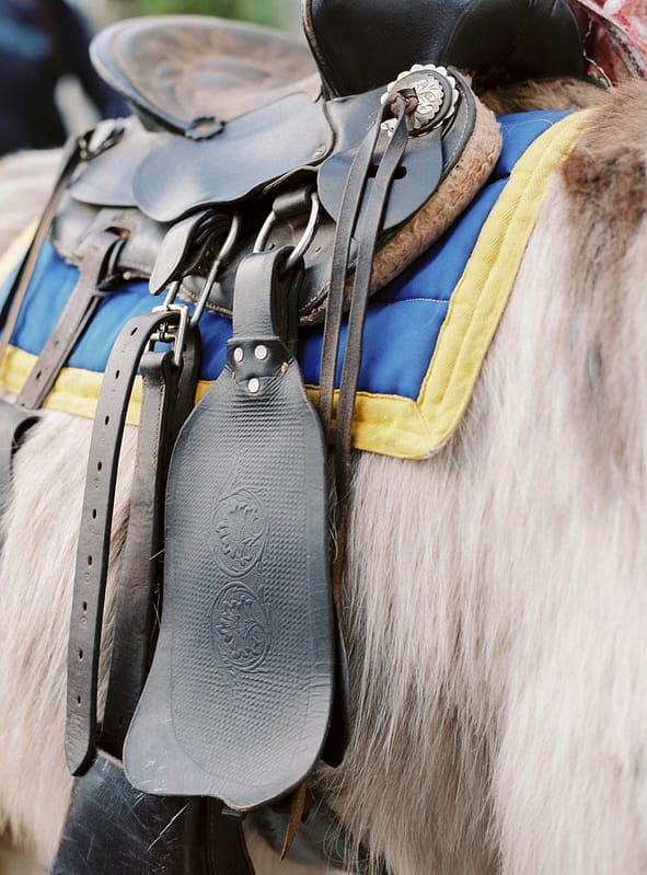 Image by <a class="text-p3" href="http://www.lucydavenport.co.uk" target="_blank">Lucy Davenport Photography</a>.