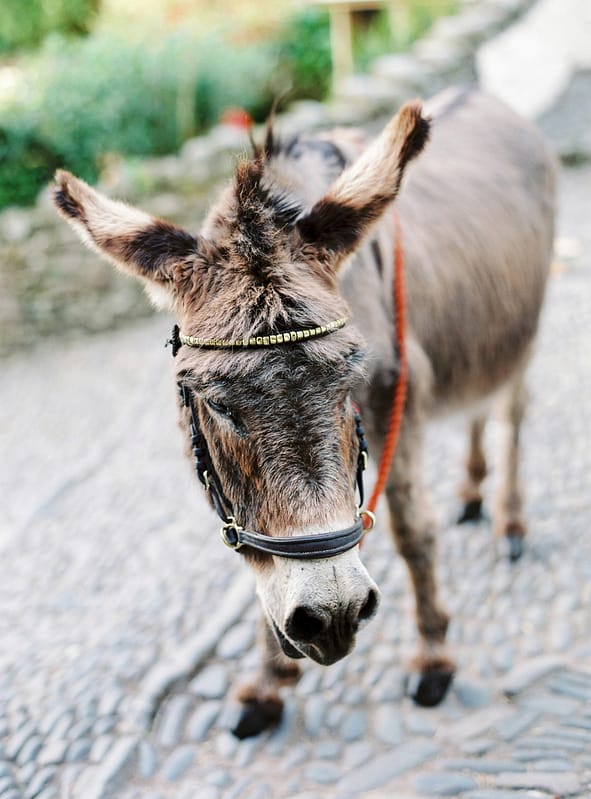 Image by <a class="text-p3" href="http://www.lucydavenport.co.uk" target="_blank">Lucy Davenport Photography</a>.
