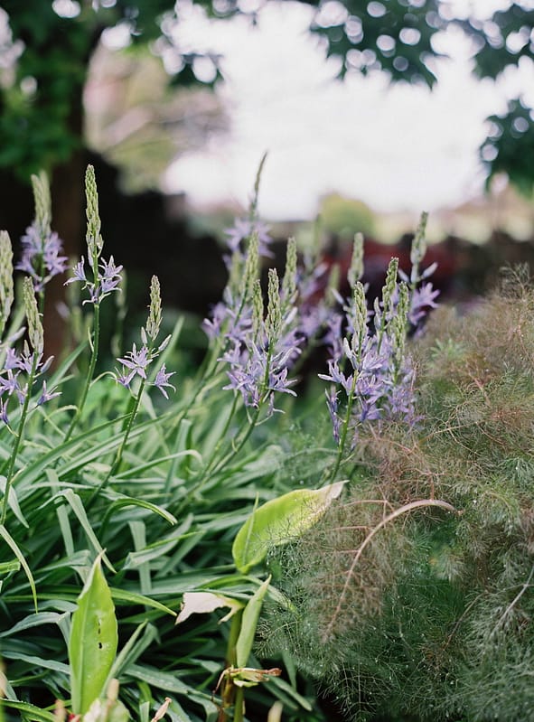 Image by <a class="text-p3" href="http://www.lucydavenport.co.uk" target="_blank">Lucy Davenport Photography</a>.