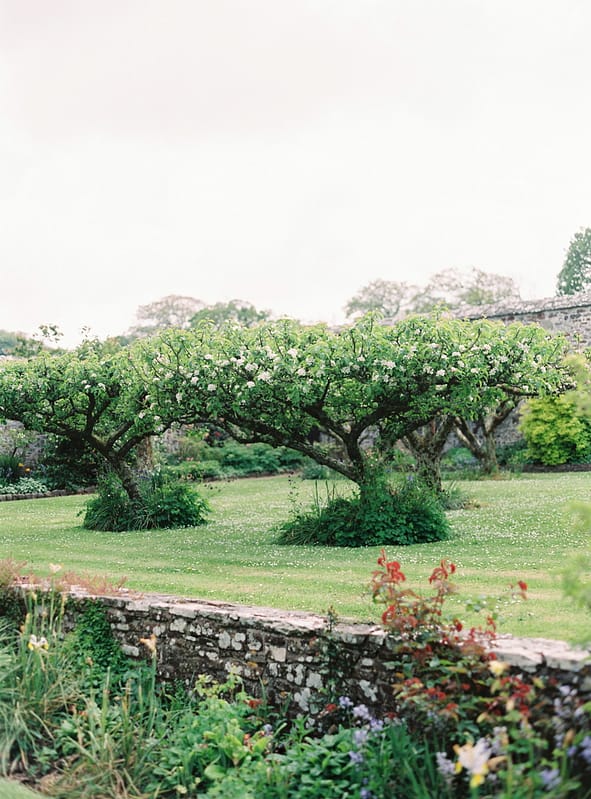 Image by <a class="text-p3" href="http://www.lucydavenport.co.uk" target="_blank">Lucy Davenport Photography</a>.