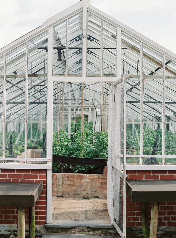 Image by <a class="text-p3" href="http://www.lucydavenport.co.uk" target="_blank">Lucy Davenport Photography</a>.