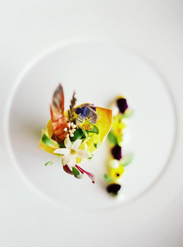 Image by <a class="text-p3" href="http://www.lucydavenport.co.uk" target="_blank">Lucy Davenport Photography</a>.