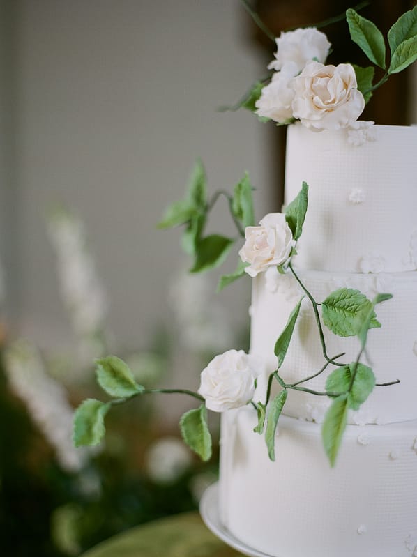 Image by <a class="text-p3" href="http://juliemichaelsen.com" target="_blank">Julie Michaelsen Photography</a>.