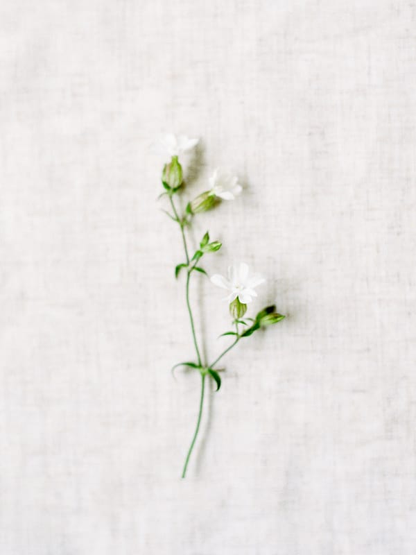 Image by <a class="text-p3" href="http://www.hannahduffy.com" target="_blank">Hannah Duffy Photography</a>.