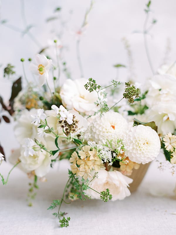Image by <a class="text-p3" href="http://www.hannahduffy.com" target="_blank">Hannah Duffy Photography</a>.
