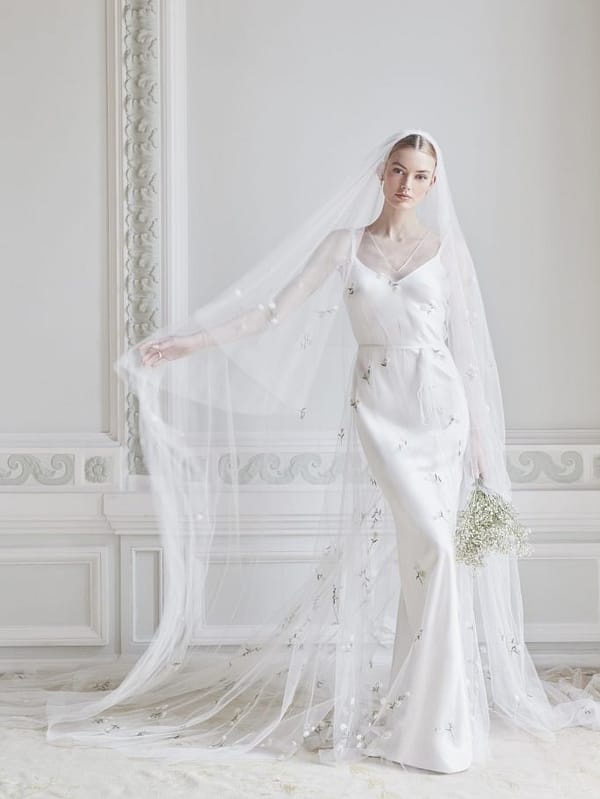 Image by <a class="text-p3" href="https://www.yuval-chen.com" target="_blank">Yuval Chen</a>.