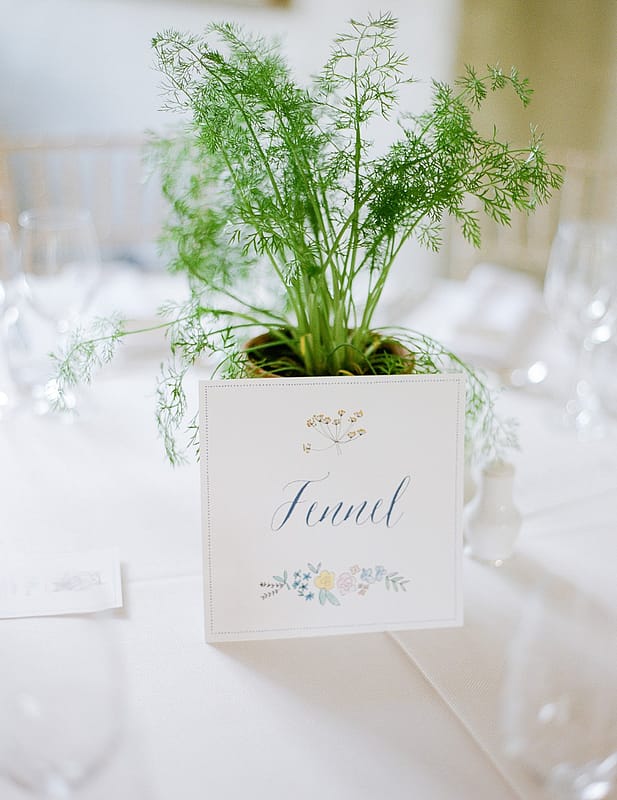 Image by <a class="text-p3" href="http://juliemichaelsen.com" target="_blank">Julie Michaelsen Photography</a> | Planning by <a class="text-p3" href="https://www.vanillaroseweddings.co.uk" target="_blank">Vanilla Rose Weddings</a>.