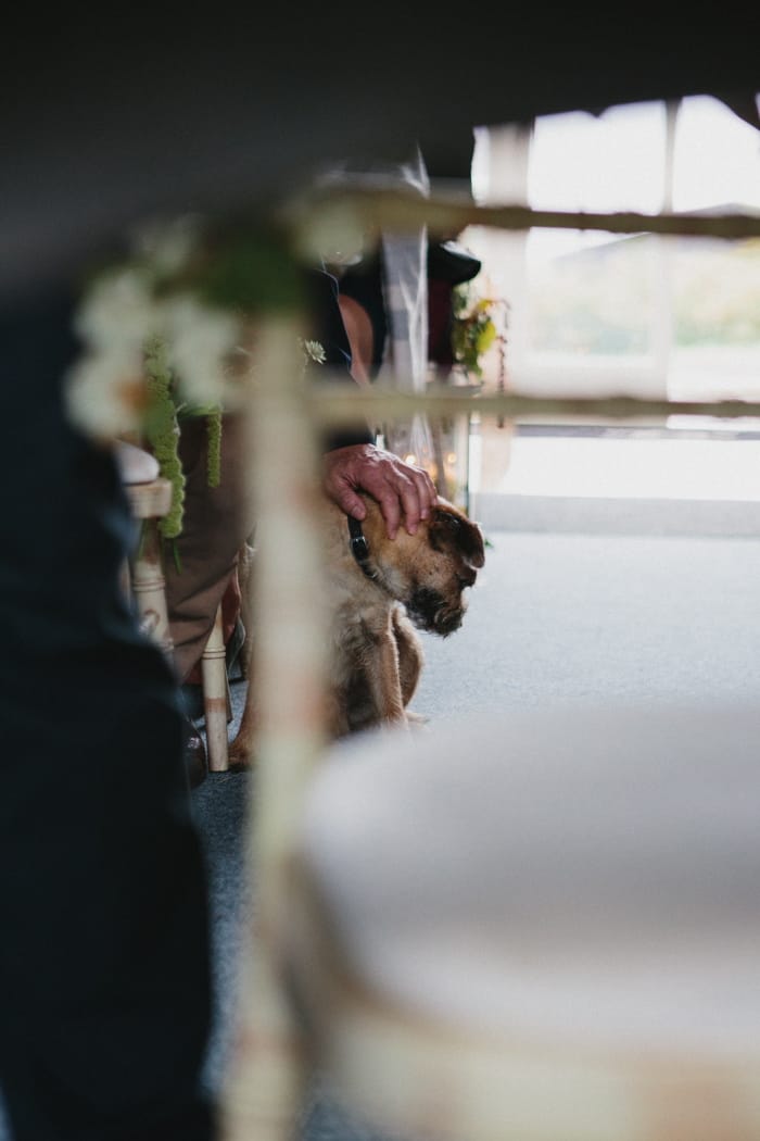 Image by <a class="text-p3" href="http://www.peachandjophotography.co.uk" target="_blank">Peach & Jo Photography</a>.