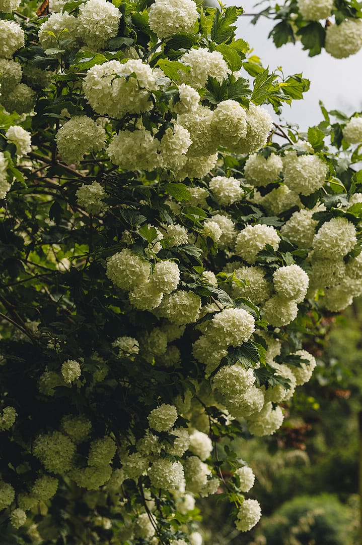 Image by <a class="text-p3" href="http://martamayphotography.co.uk" target="_blank">Marta May Photography</a>.
