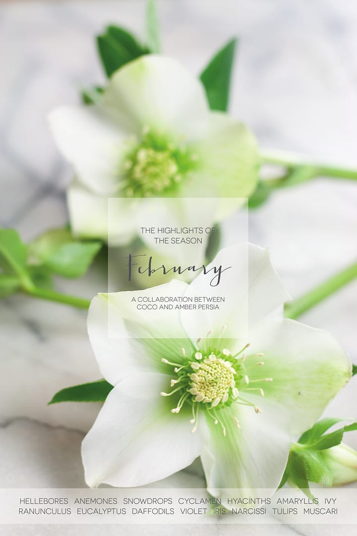 Coco Wedding Venues - February Floral Highlights.