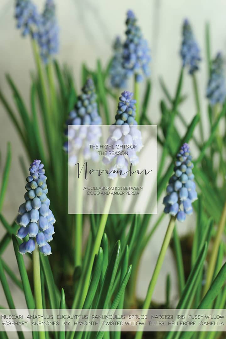 coco-wedding-venues-wedding-flower-inspiration-november-floral-highlights-by-amber-persia-flowers-and-events-800px