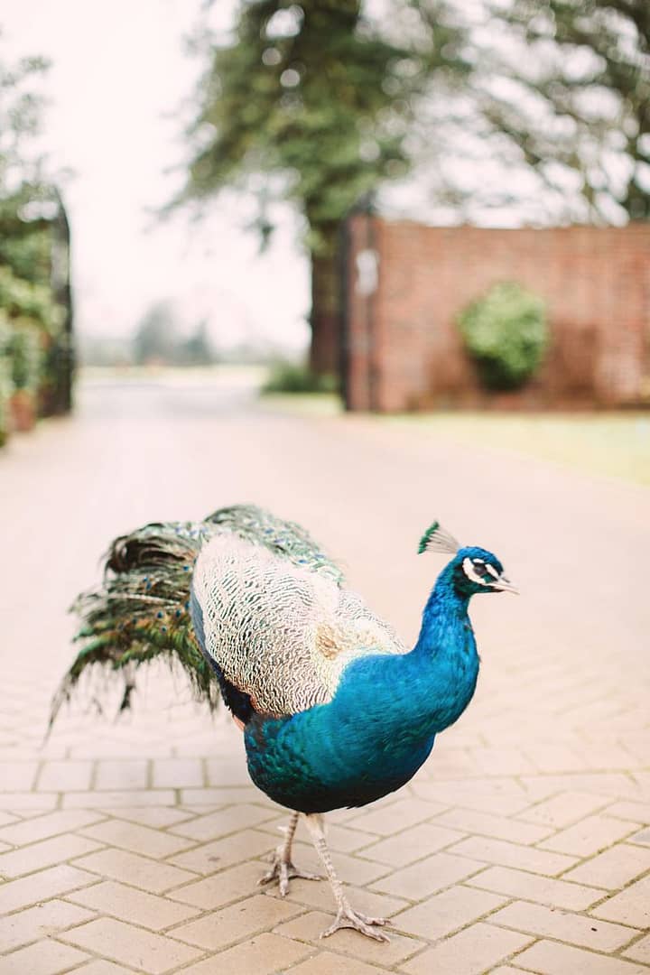 Image by <a class="text-p3" href="http://christinasarah.com" target="_blank">Christina Sarah Photography</a>.