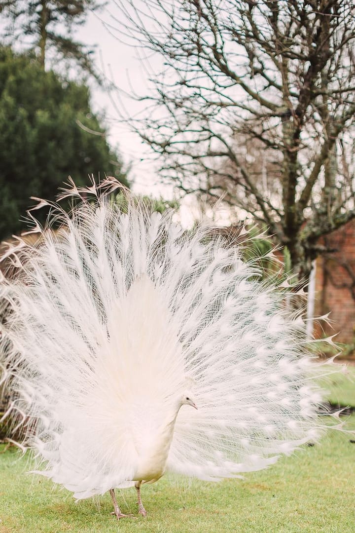 Image by <a class="text-p3" href="http://christinasarah.com" target="_blank">Christina Sarah Photography</a>.