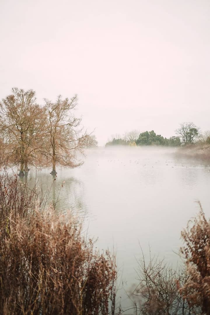 Image by <a class="text-p3" href="http://christinasarah.com" target="_blank">Christina Sarah Photography</a>.