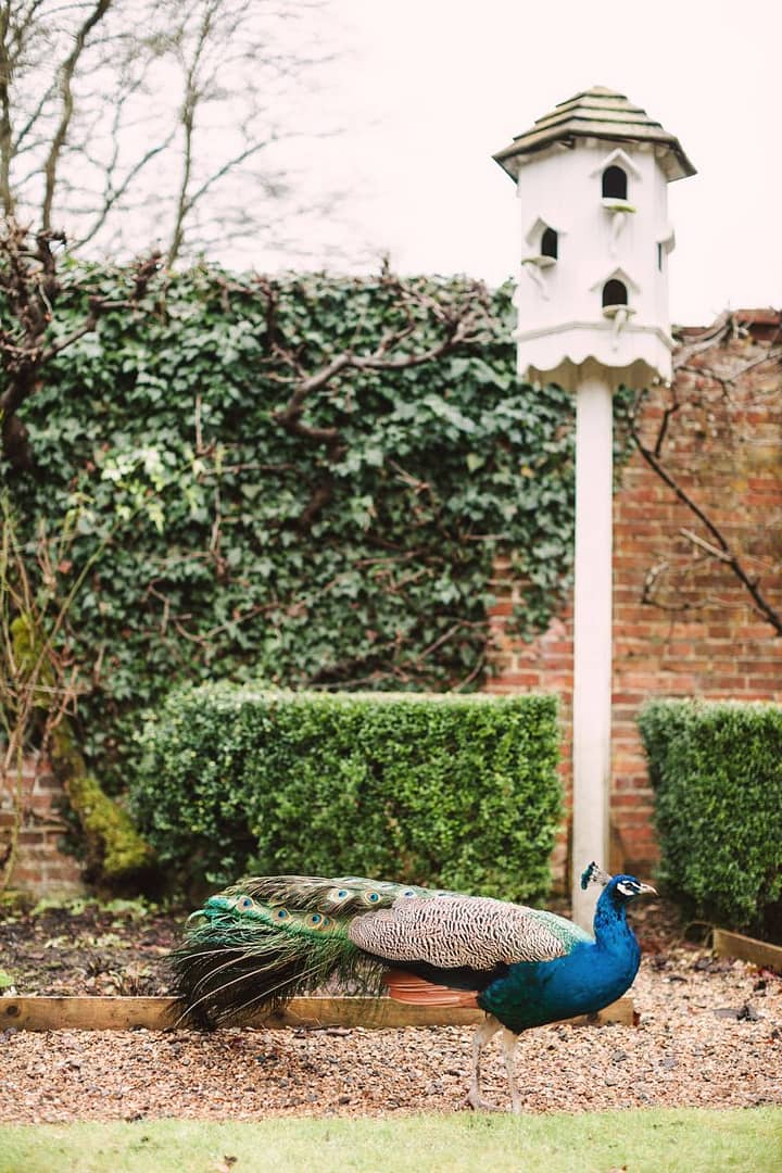 Image by <a class="text-p3" href="http://christinasarah.com" target="_blank">Christina Sarah Photography</a>.