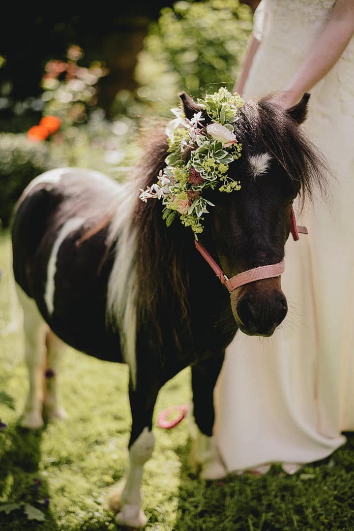 Image by <a class="text-p3" href="http://benjaminmathers.co.uk" target="_blank">Benjamin Mathers Photography</a>.