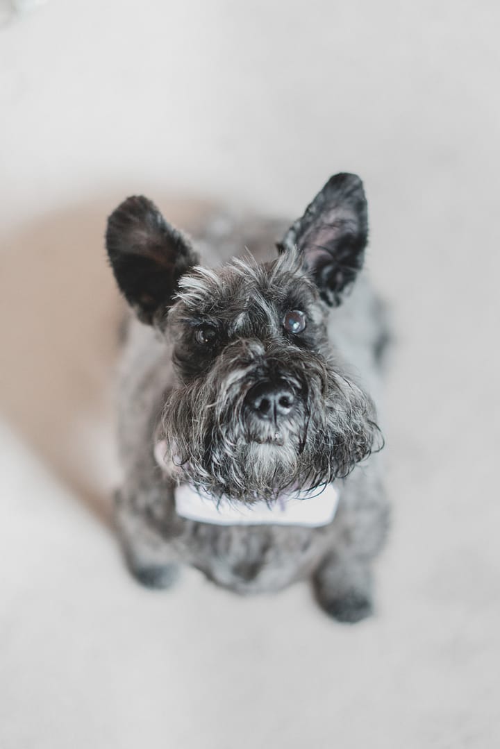 Image by <a class="text-p3" href="http://www.joshgooding.co.uk" target="_blank">Josh Gooding Photography</a>.