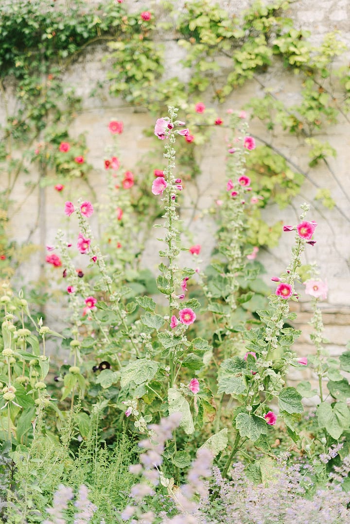 Image by <a class="text-p3" href="http://www.hannahduffy.com" target="_blank">Hannah Duffy Photography</a>.
