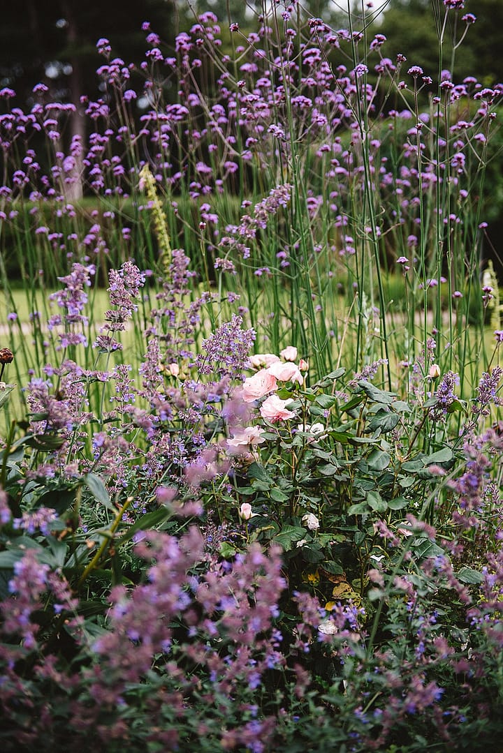 Image by <a class="text-p3" href="https://divinedayphotography.com" target="_blank">Divine Day Photography</a>.