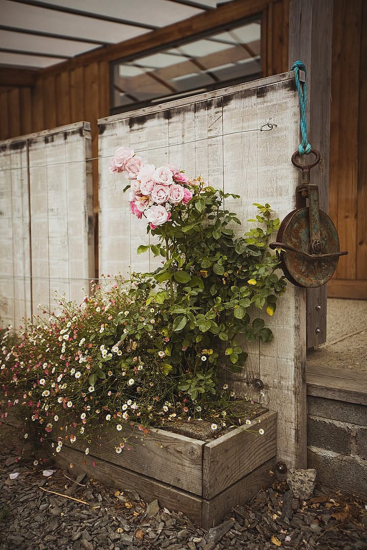 Image by <a class="text-p3" href="https://www.heatherbirniephotography.co.uk" target="_blank">Heather Birnie</a>.