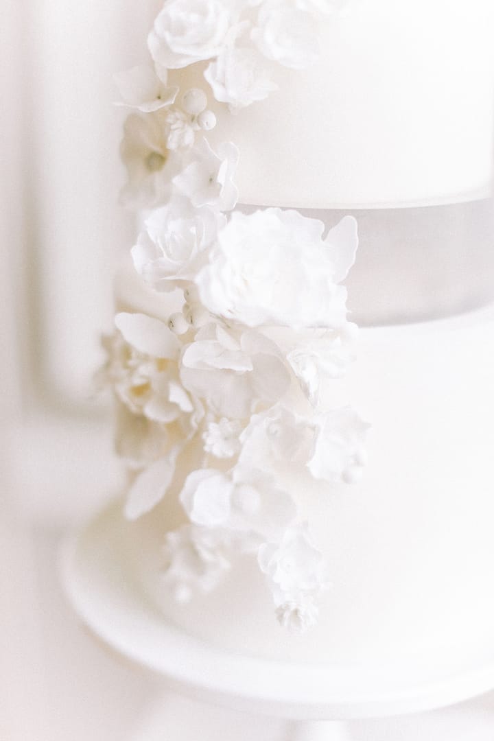 Image by <a class="text-p3" href="https://www.charlottewisephotography.co.uk" target="_blank">Charlotte Wise Fine Art Photography</a>.