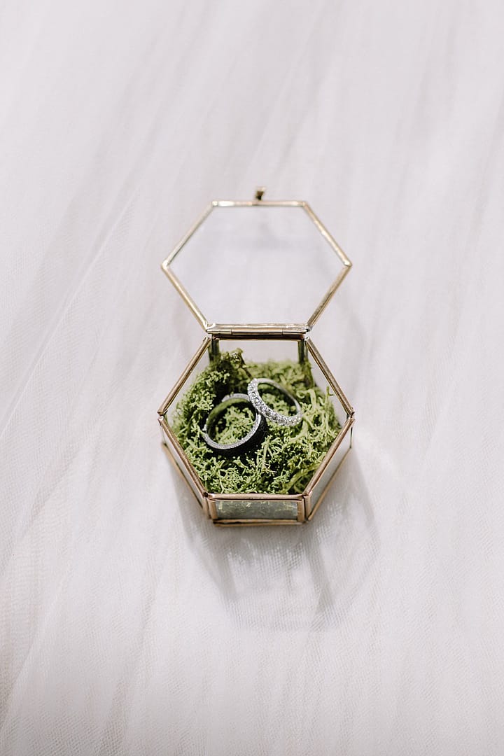 Image by <a class="text-p3" href="http://www.rebeccagoddardphotography.com" target="_blank">Rebecca Goddard Photography</a>.