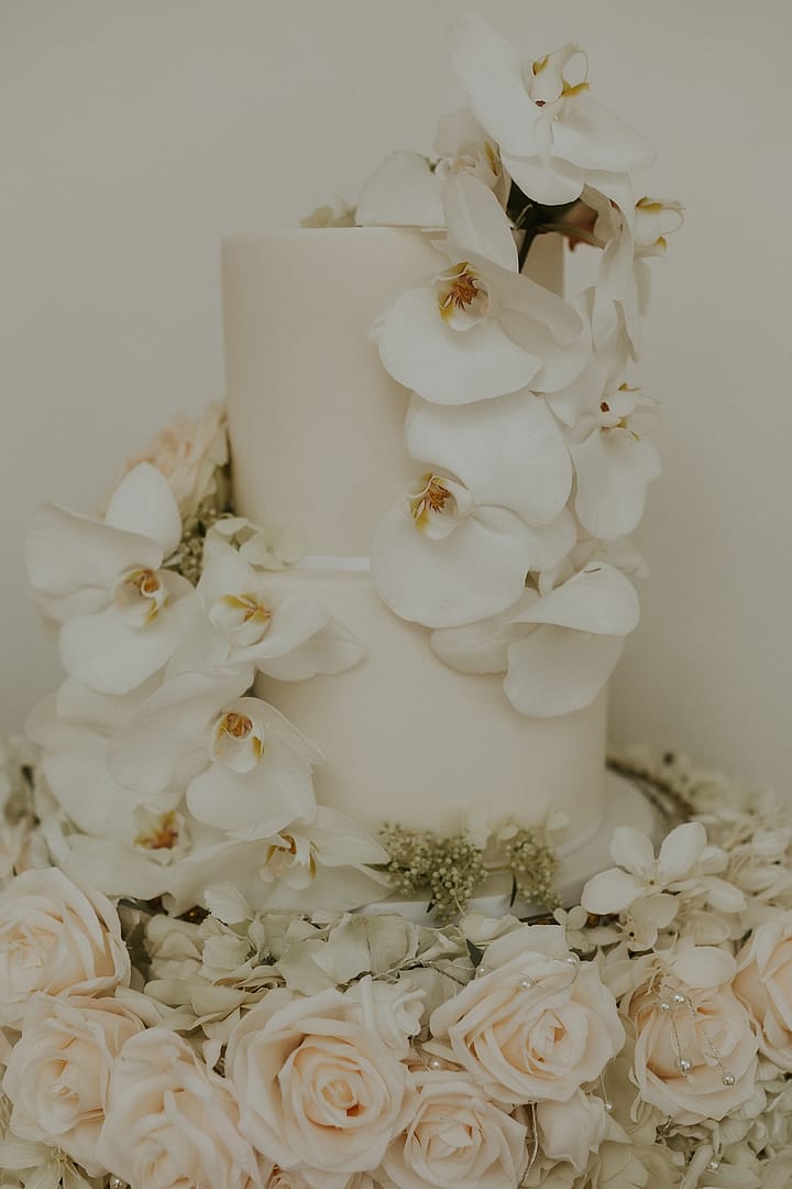 Image by <a class="text-p3" href="https://lauradeanphotography.com" target="_blank">Laura Dean Photography</a>.