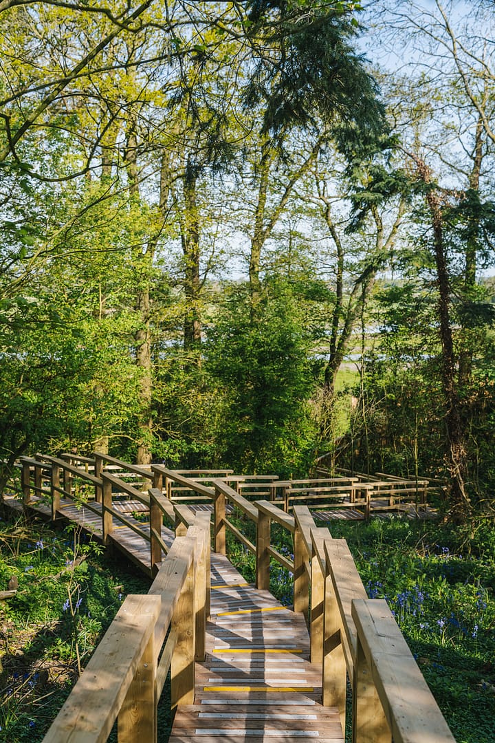 Image by <a class="text-p3" href="http://brettcharlesphotography.co.uk" target="_blank">Brett Charles Photography</a>.