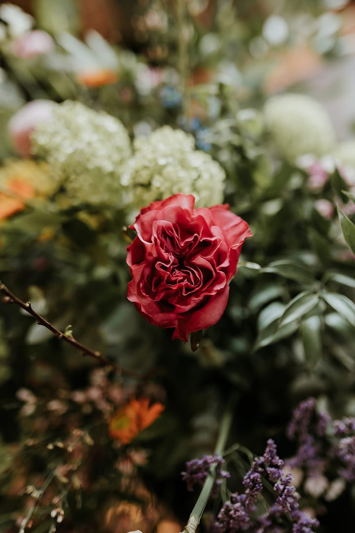 Image by <a class="text-p3" href="https://www.gabrielasphotographyandfilm.com" target="_blank">Gabriela's Photography and Film</a>.