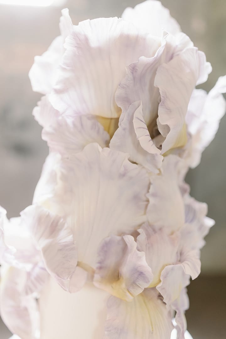 Image by <a class="text-p3" href="https://camillajoy.co.uk" target="_blank">Camilla Joy Photography</a>.