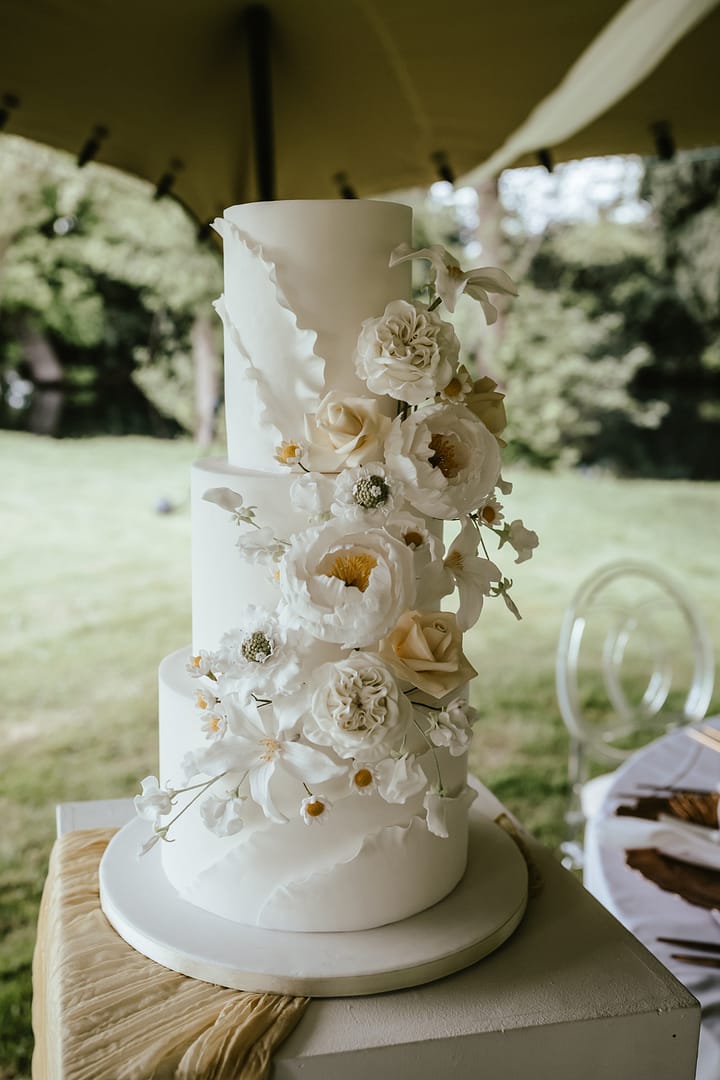 Image by <a class="text-p3" href="https://www.ajfeatherphotography.com" target="_blank">AJ Feather Photography</a>.