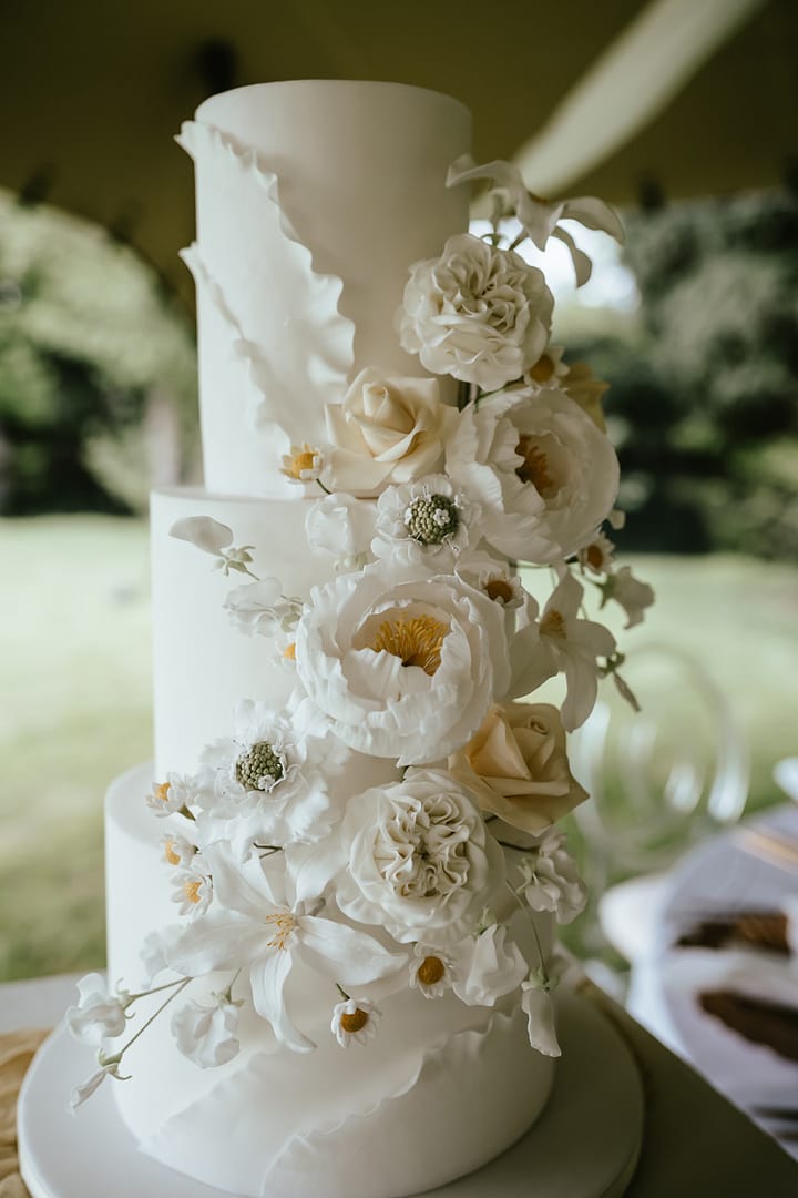Image by <a class="text-p3" href="https://www.ajfeatherphotography.com" target="_blank">AJ Feather Photography</a>.
