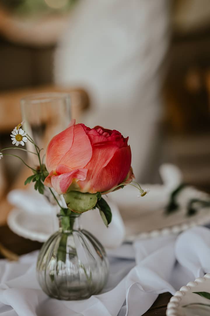 Image by <a class="text-p3" href="https://www.ajfeatherphotography.com" target="_blank">AJ Feather Photography</a>.