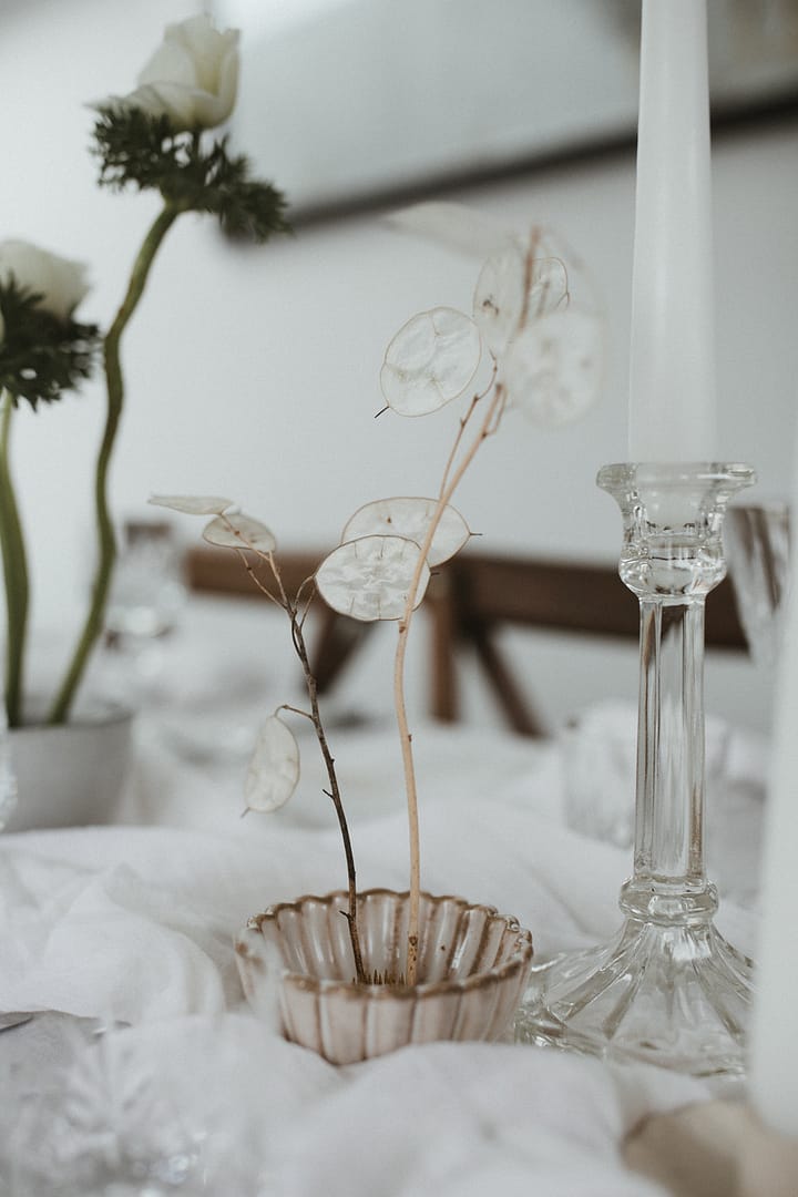 Image by <a class="text-p3" href="https://ashpowell.com" target="_blank">Ash Powell Photography</a>.