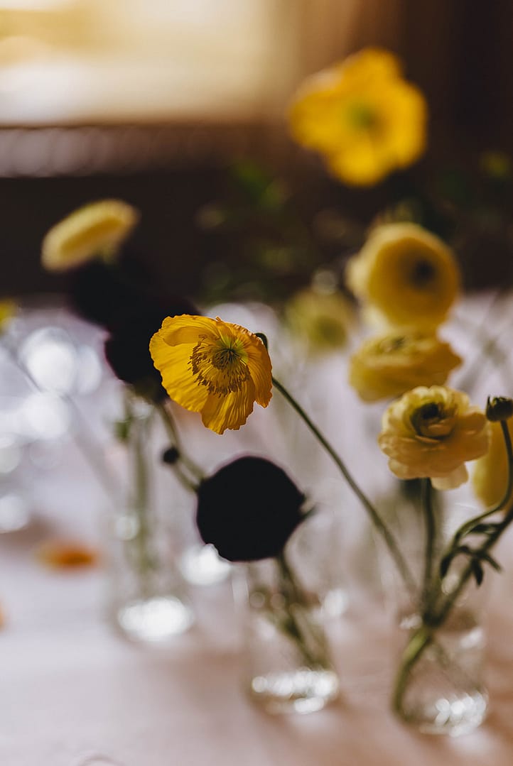 Image by <a class="text-p3" href="http://martamayphotography.co.uk" target="_blank">Marta May Photography</a>.