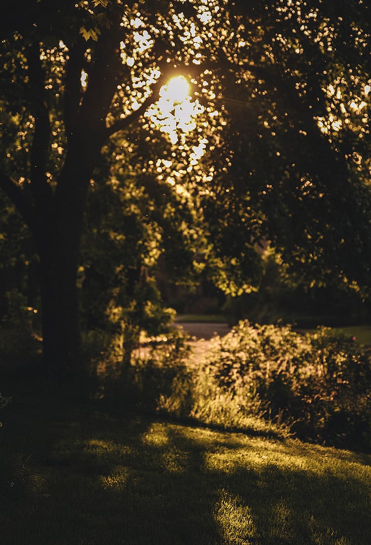 Image by <a class="text-p3" href="http://martamayphotography.co.uk" target="_blank">Marta May Photography</a>.