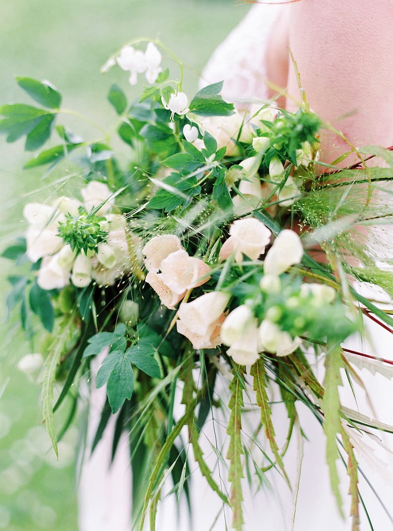 Image by <a class="text-p3" href="http://www.lucydavenport.co.uk" target="_blank">Lucy Davenport Photography</a>.