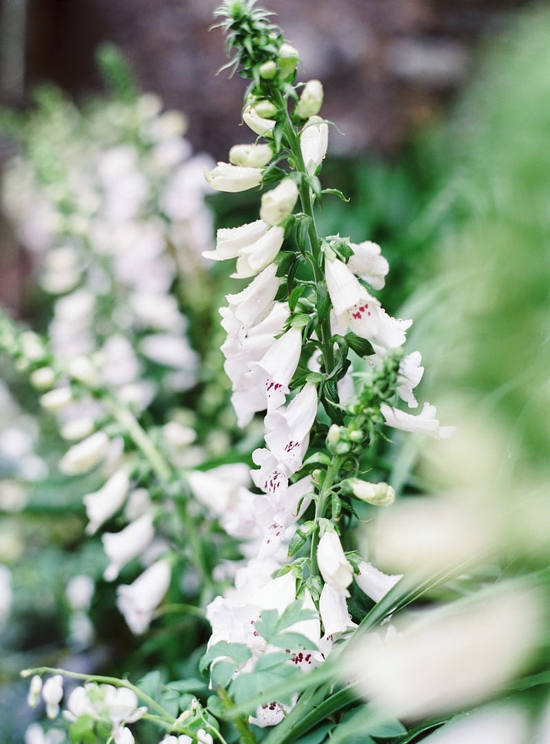 Image by <a class="text-p3" href="http://www.lucydavenport.co.uk" target="_blank">Lucy Davenport Photography</a>.