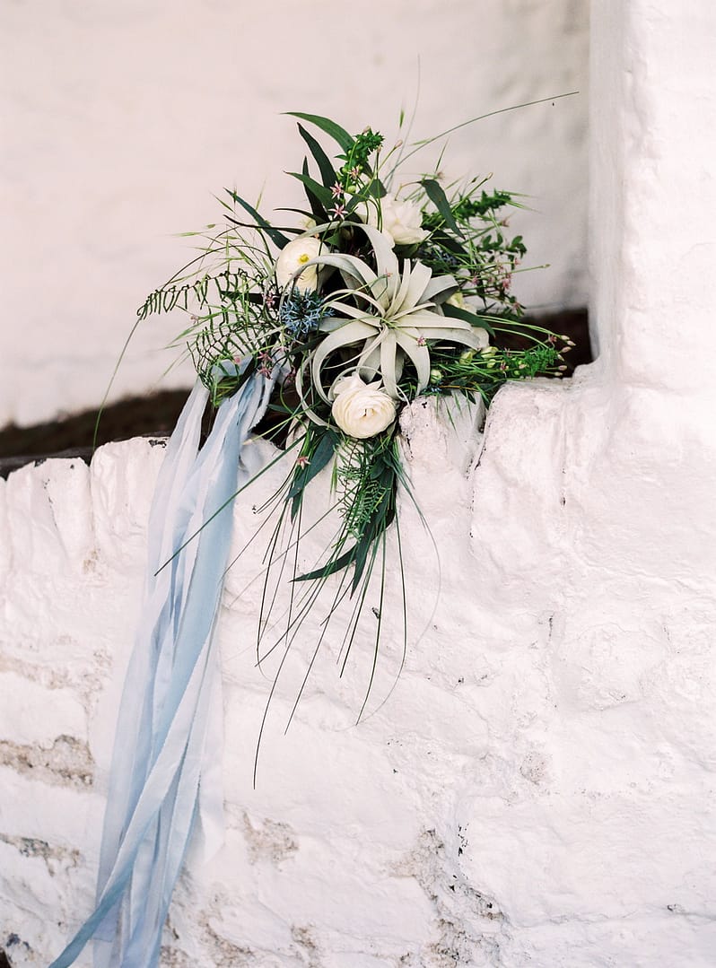 Image by <a class="text-p3" href="http://www.lucydavenport.co.uk" target="_blank">Lucy Davenport Photography</a>.