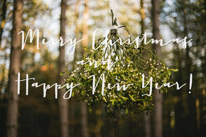 Coco Wedding Venues - Merry Christmas for the Blog - Image by Ann Katherin Koch.